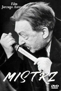  Мастер 